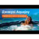 СПА-басейн Aquajoy Borneo (230х230х96 см), Сріблясто-білий мармур