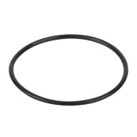 Уплотнительное кольцо диффузора Emaux (02011004)