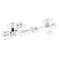 Гайка муфти насоса QP Starpump Pro 63 мм (221120)