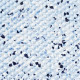 Лайнер Aqujoy Terrazzo мармурова крихта (протиковзкий) 1.65x20.2 м