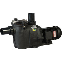 Насос Hayward RS II RS3008EV1 (220 В, 12.5 м3/ч, 0.75 HP)