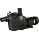 Насос Hayward RS II RS3008EV1 (220 В, 12.5 м3/ч, 0.75 HP)