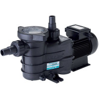 Насос Hayward PL 81005E2 IE2 (220 В, 13 м3/год, 0.75 HP)
