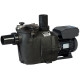 Насос Hayward RS II RS3020VSTD (220 В, 25 м3/ч, 2 HP), с переменной скоростью